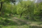 SeebensteinKreuzwegFotoAnnemariePrinz