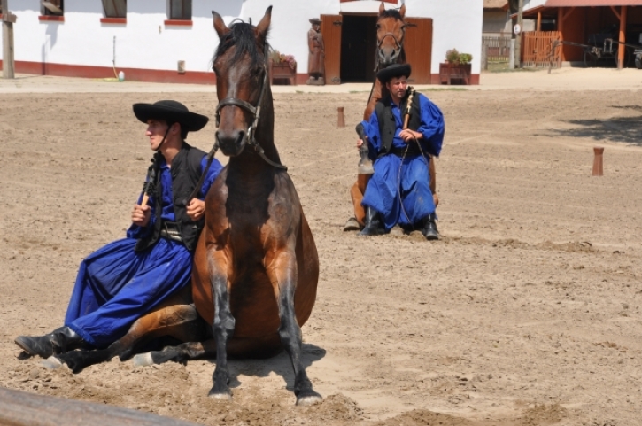 PferdeshowLajosmizseFotoWilhelmBoehm