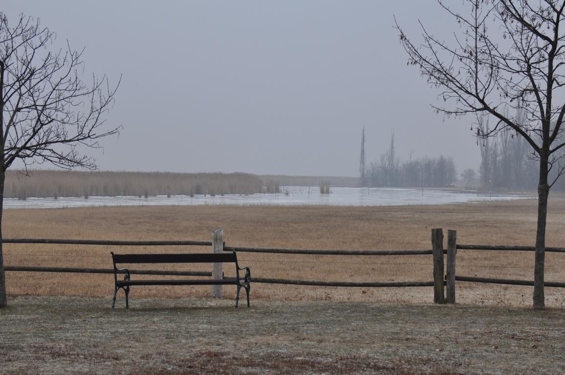 WinteridylleNeusiedlerseeFotoPrinzSCHNAPPENat