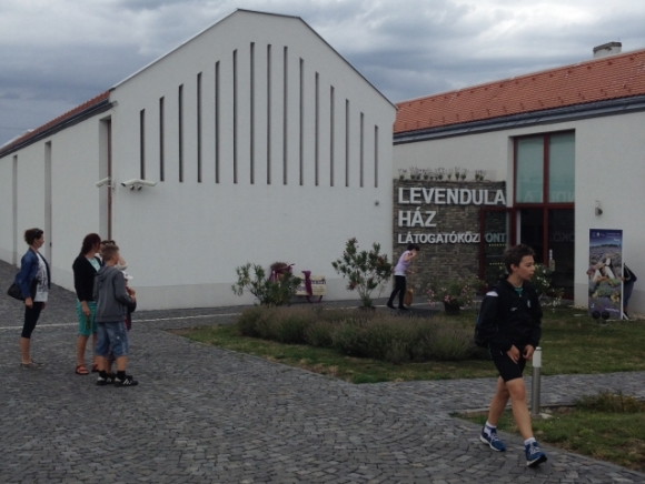 2014UngarnLavendelhausFotoKelo