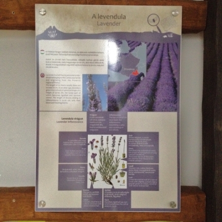 LavendelhausMuseumFotoKelo