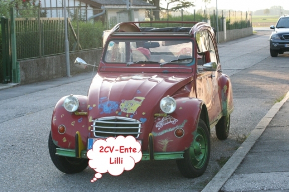 OesterreichCitroenFotoPrinz