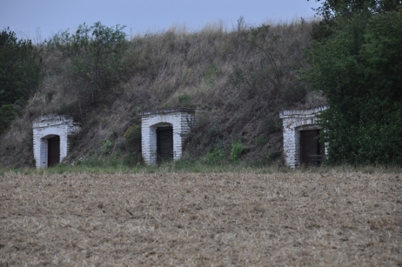 WeinkellerWeinviertelFotoAnnemariePrinz