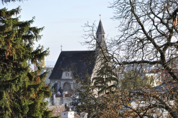 MoedlingFotoAnnemariePrinz (57)