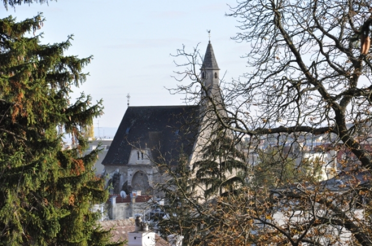 MoedlingFotoAnnemariePrinz (57)