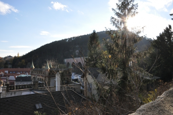 WienerwaldMoedlingFotoAnnemariePrinz (49)