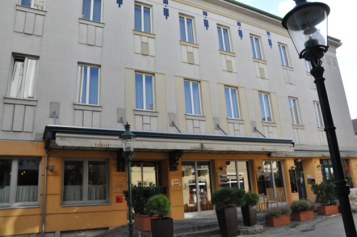 MoedlingBabenbergerhofFotoAnnemariePrinz (19)