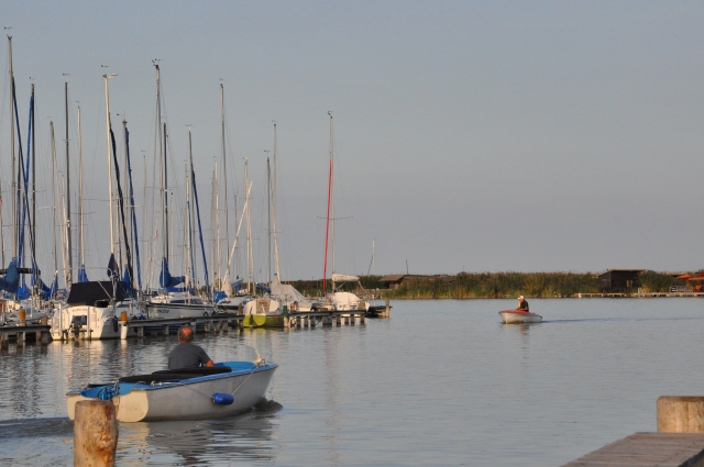 BurgenlandNeusiedlerseeFotoPrinz (22)