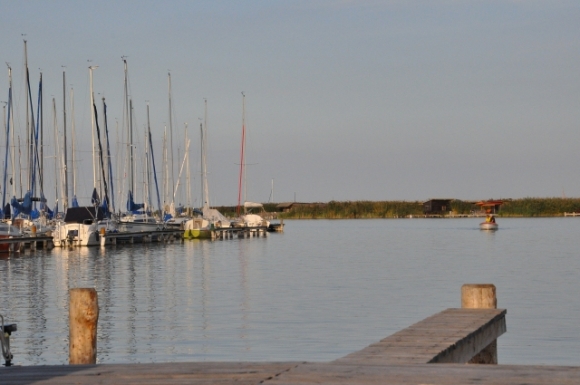 NeusiedlerseeFotoPrinz (21)