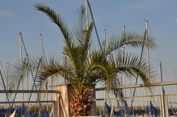 NeusiedlerseeFotoPrinz (8)