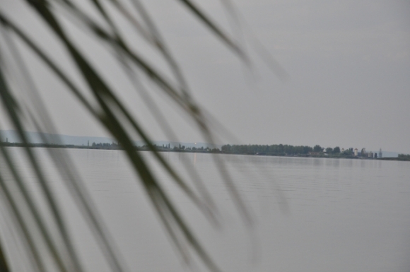 NeusiedlerseeMoerbischAussichtFotoAnnemariePrinz