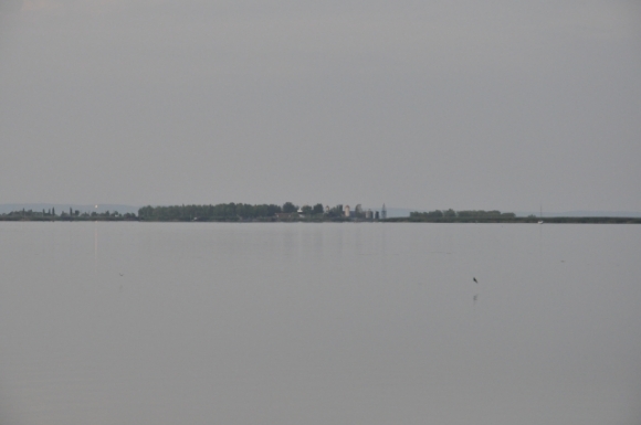 NeusiedlerseeMoerbischFotoAnnemariePrinz