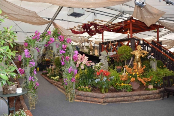 OrchideenausstellungImStiftKlosterneuburgFoto(c)WalterHanzmann