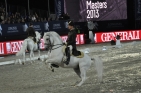 LipizzanerHofreitschuleFotoAnnemariePrinz