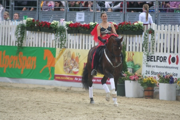 PferdemesseWNFotoPrinz (3)