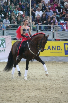 PferdemesseWNFotoPrinz (4)