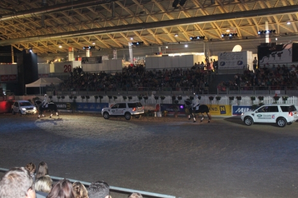 ArenaNovaWienerNeustadtFotoLeaSteinert