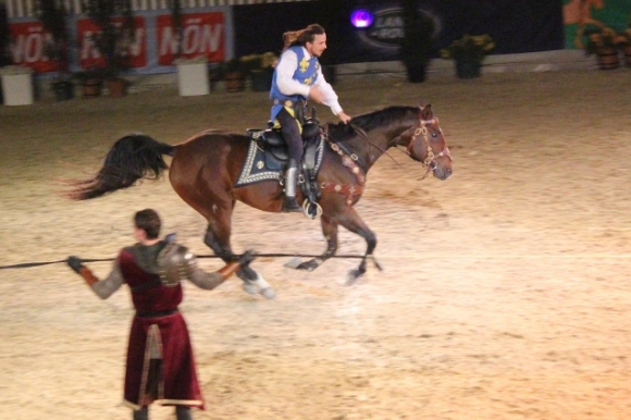 PferdeUndShowFotoLeaSteinert
