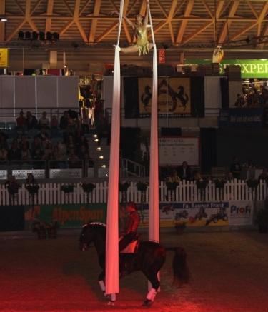 ShowreitenFotoLeaSteinert