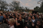 PictureOnFestivalBildein2017FotoAnesa