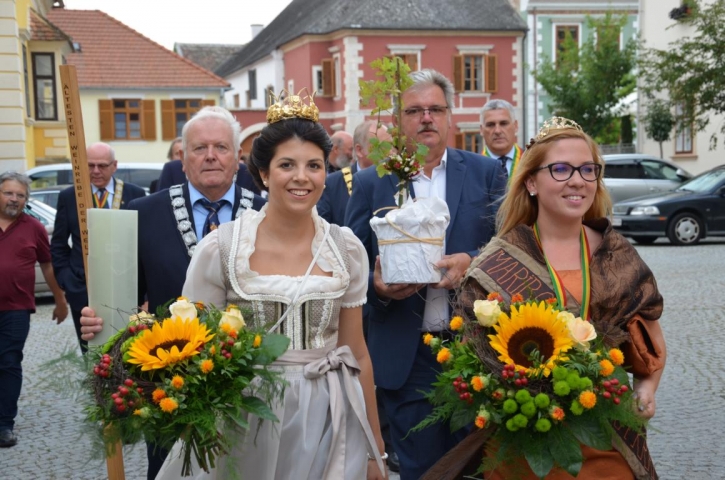 StaraTrtaAlterWeinstockFeierRustFotoPeWoe
