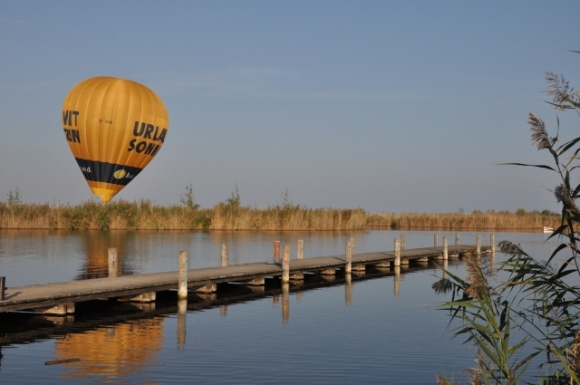 2014BurgenlandNeusiedlerseeUrlaubMitSonneDrinFotoPrinz