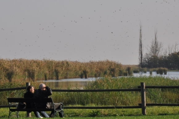 NeusiedlerseeRustFotoPrinz
