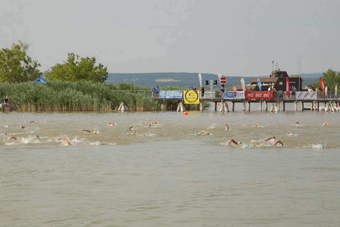 NeusiedlerseeSchwimmRekordFotoSchwimmfestival