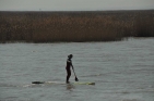 SchilfidylleUndPaddlerAmNeusiedlerseeFotoPrinzSCHNAPPENat