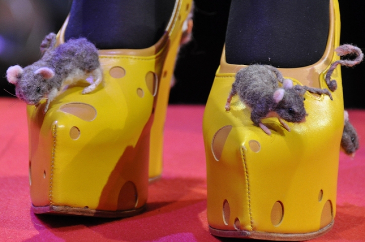 2015WienSchuhmacherballSiegerKaeseSchuhFotoPrinzOnlineMagazinSCHNAPPEN