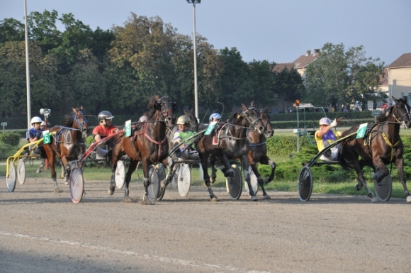 TrabenInBadenFotoPrinz (40)
