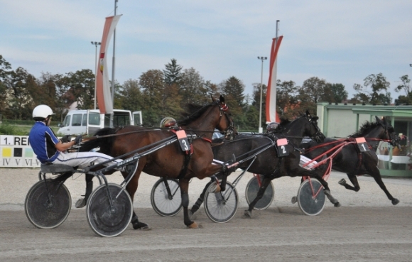 TrabrennenFotoPrinz (33)