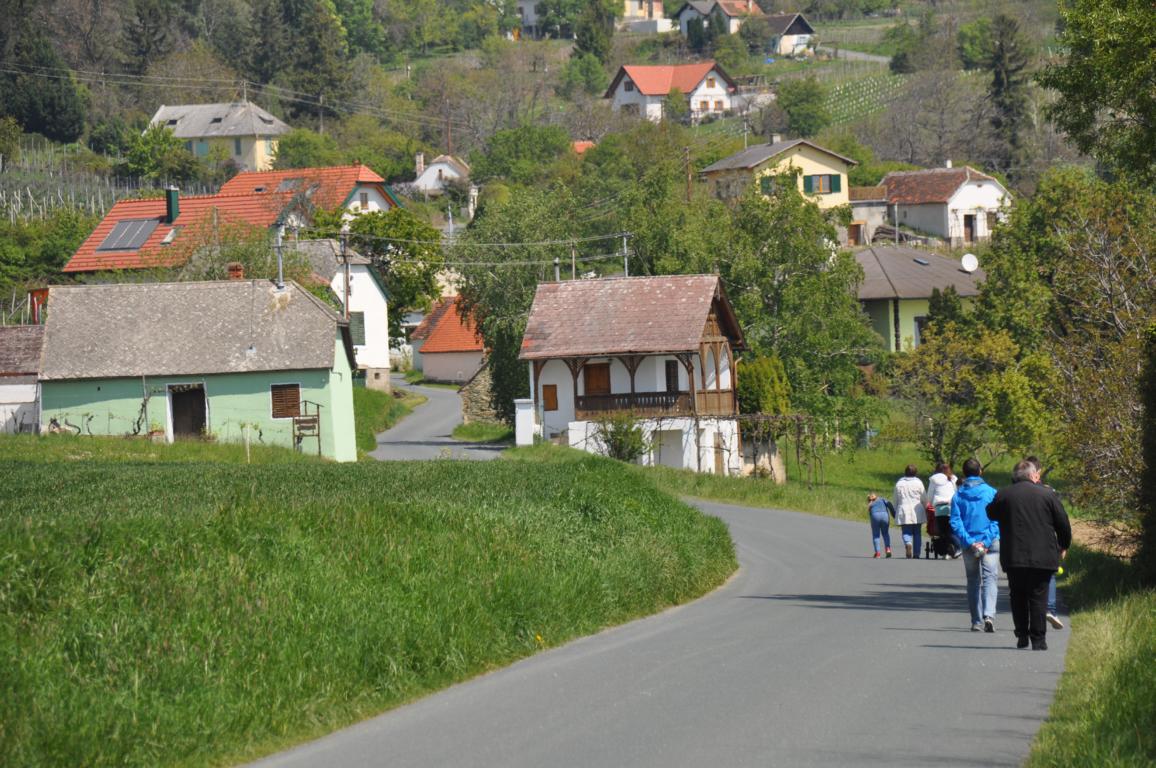 WeinidylleSuedburgenlandFotoPrinzSCHNAPPENat