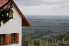 KellerstoecklImSuedburgenlandFotoWeinidylleHerbertEberhardt