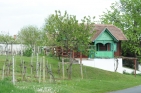 WeinkellerBuschenschankHeurigeWinzerFotoPrinzSCHNAPPENat