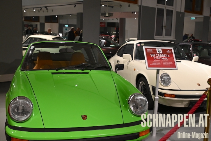 PorscheCarreraFotoPrinzSCHNAPPENat