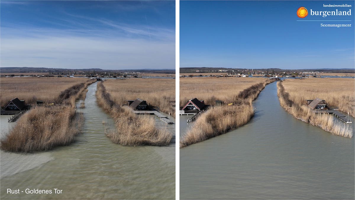 RustGoldenesTorSchilfschneidenFotocSeemanagementBurgenland