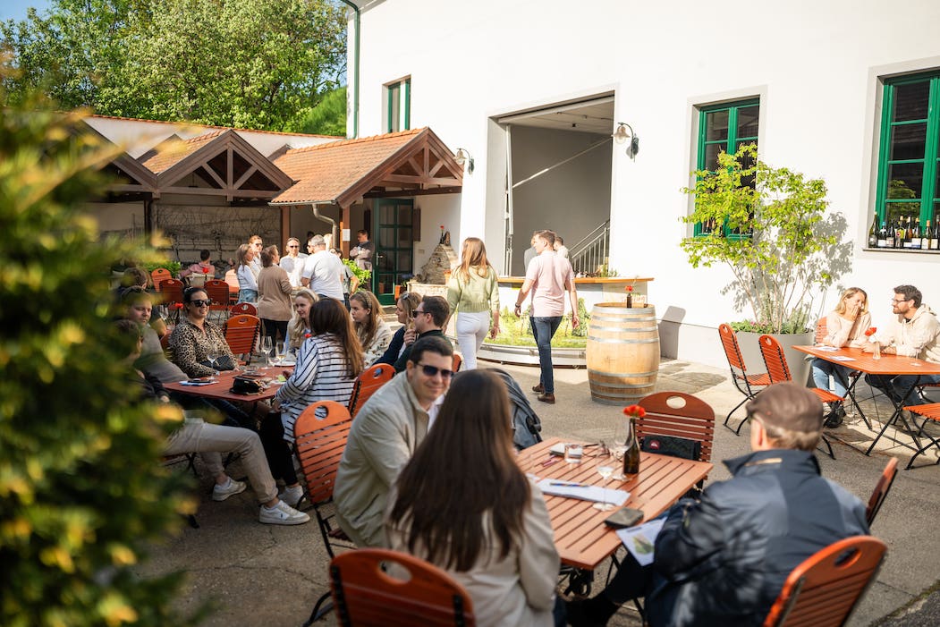 2026WeinfruehlingFotocPointOfView8