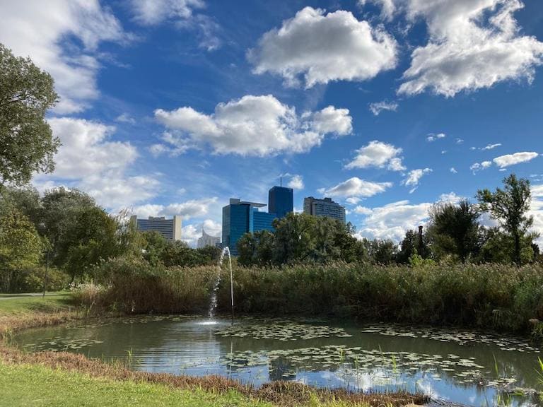 Lauschige Plätze entlang der Alten Donau und die Wiener Wasserwege-App. Foto: Prinz AlteDonauInWienRuhigerPlatzFotoPrinz