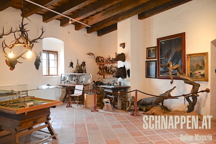 SonderausstellungBurgGuessingJagdBurgenlandUngarnFotoPrinzSCHNAPPENat