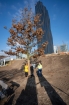 2021RiesenBaeumeCopaBeachFotoPIDDavidBohmann