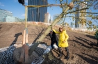 ErnstNevrivyUlliSimaBaumCopaBeachFotoPIDDavidBohmann