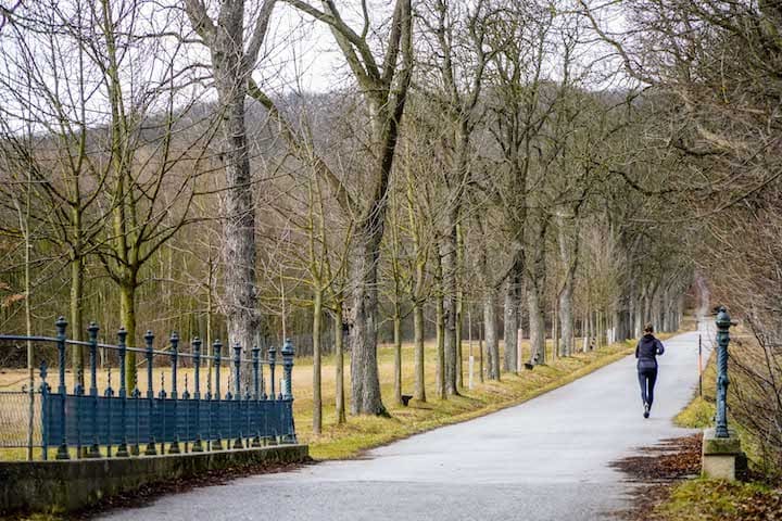 Lainzer Tiergarten für Erholungsuchende und Sporttreibende auch im Winter 2020 geöffnet. Foto: PID/Christian Fürthner 2020WienSportImLainzerTiergartenFotoPIDChristianFuerthner