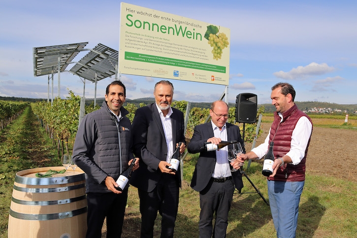 SonnenweinImBurgenlandFotoBgldLandesmedienservice