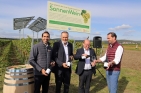 SonnenweinImBurgenlandFotoBgldLandesmedienservice