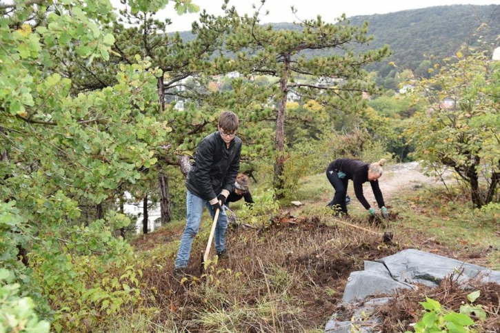 2020BadenLandschaftspflegeImHerbst2020PsbSap