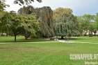 StadtparkWienerNeustadtFotoPrinzSCHNAPPENat