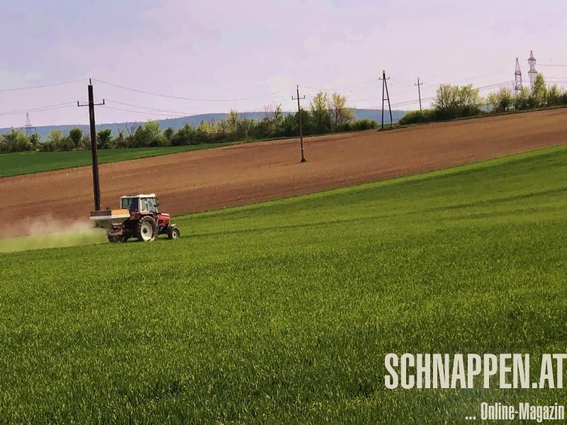 LandwirtschaftCoronaKriseFotoPrinzSCHNAPPENat