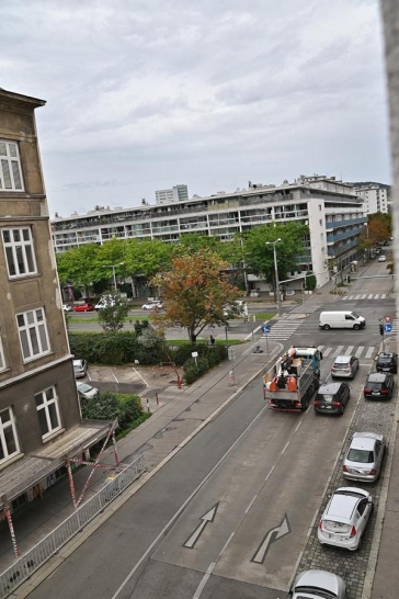 BlickNachRechtsFotoPrinzSCHNAPPENat